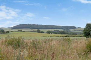 Photo 25- click for photo gallery